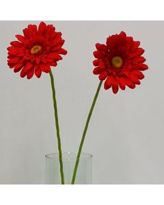 Gerbera Roja Mod.3798