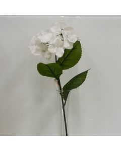 Hortensia Blanca Mod.56612B