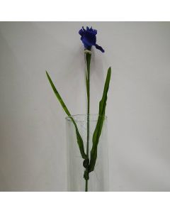 Iris Azul Mod.1214