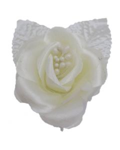 Rosa de Organza Hueso EG