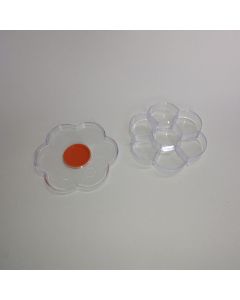 Caja flor Transparente