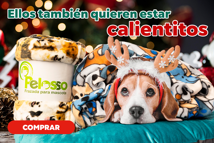 DE VENTA EN TIENDA FÍSICA